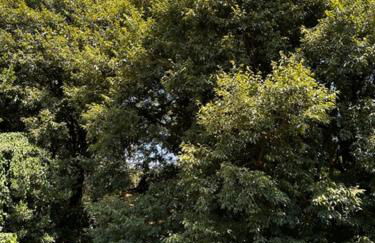 Casa Vacanza Indipendente Cascina Cremasca with pool - Foto 33