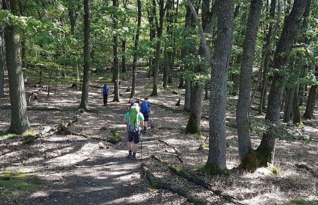 "moseltor" Comfortable Holiday Residence - Foto 20