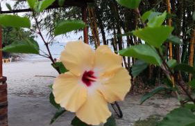 Casa do Sérgio lindo loft ideal para casa e pequena família,moderno e confortável - Photo 24