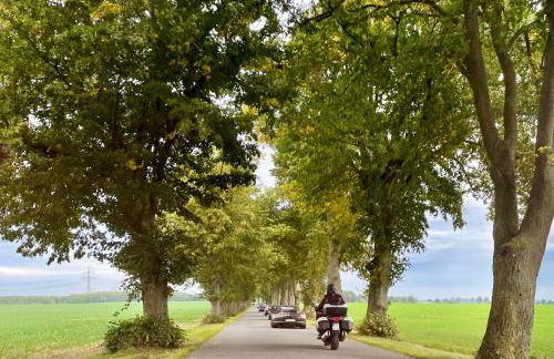 Ferienwohnung Kranichnest - Foto 57