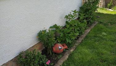 La lechuza blanca - Foto 5, Garden