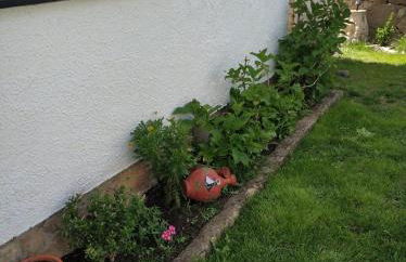 La lechuza blanca - Foto 5