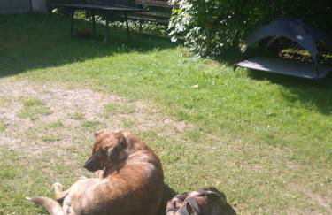 Harz&Herzlich - Foto 1