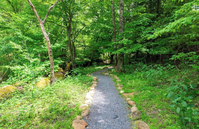 2 Bedroom Home in Ellijay! Private Hot Tub and Sunset Views - Foto 43