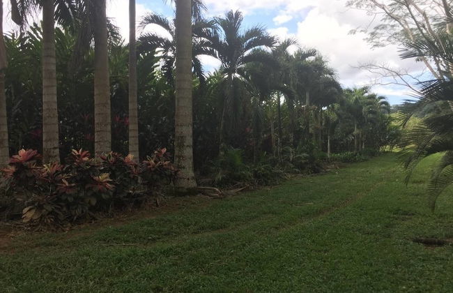 Orchard House - Photo 15