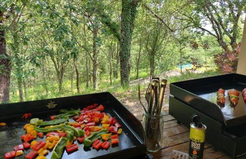 Les Hauts de Jeanvert - Gite de Charme - Piscine - Gaillac - Foto 18
