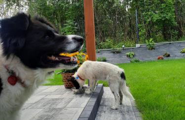 Na Skraju - Pogorzelica - Domki Rekreacyjne lokal D - Foto 10