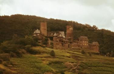 Haus Erika/ Fam. Frevel - Foto 7