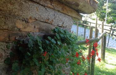 Agriturismo Barcola - Foto 13