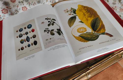 VILLA VICINUS - 120 mq - parking - garden - Foto 22