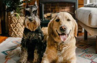 The Little Lake Cabin - Foto 55