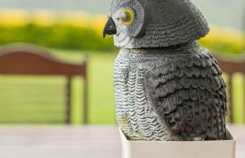 Uzturre - baskeyrentals - Foto 10