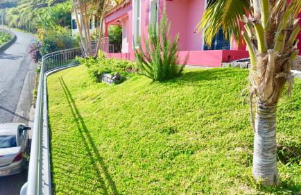 Pink House - Photo 35