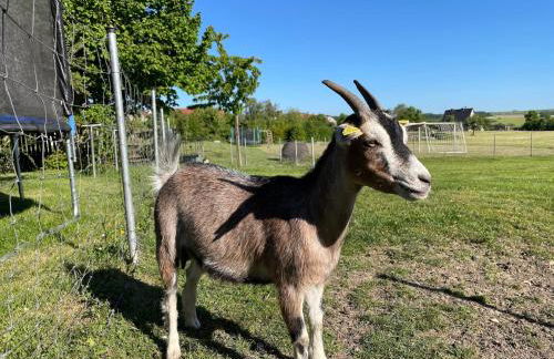 Ferienwohnung Seeleshof - Foto 25
