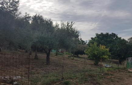 EL SITIO DE SU RECREO - Foto 19