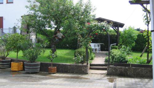 Weingut Arnold Pauly - Photo 2, Garden view