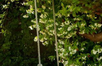 El Chiripero Beach Villa - Foto 14