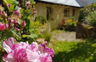 Bandar Cottage, farm cottage, close to Narberth, Pembrokeshire - Foto 13