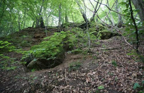 Villa Barwald - Foto 32