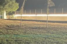 Ecuba house - Foto 35