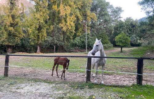 Loft Rural El Pajar del Molino - Foto 6