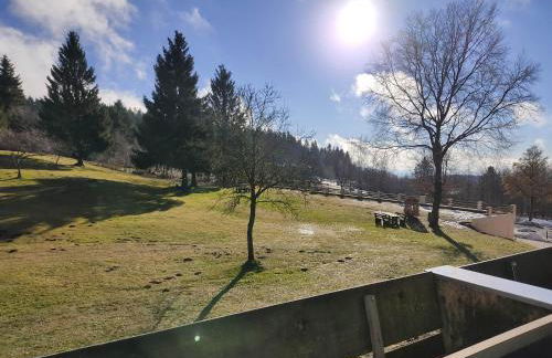 Ferienapartment Alois in Sankt Englmar - Foto 15