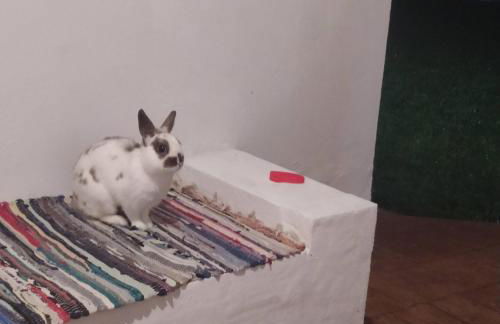 Casa rural la luz de Ari - Foto 14