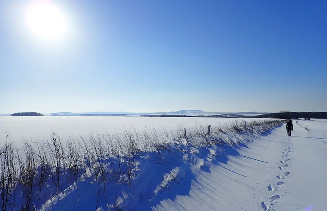 Manor Farm B & B - Foto 55