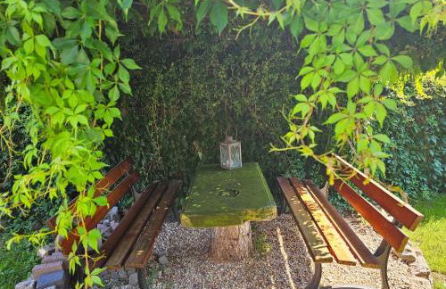 Aparthotel & Seminarhaus Wolkentor - Foto 12