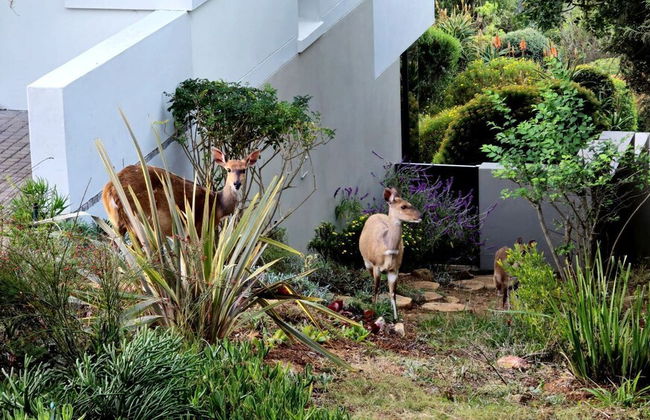 Oubaai Villa - Photo 76