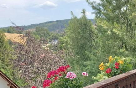 Ferienwohnung Hey - Foto 1