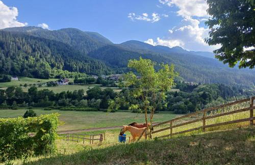 Appartamento Val di Sole - Commezzadura - Photo 16