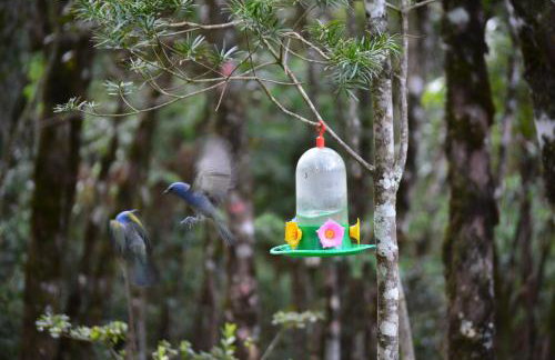 Chalés Caminho das Pedras - Foto 12