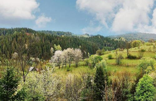 Góralskie domy w Łostówce - Foto 67