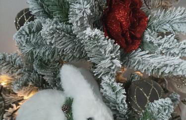 Entre 2 Châteaux - Foto 10