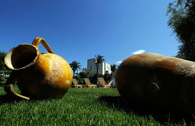 Masseria Torre dei Preti - Foto 19