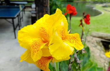 Refúgio Atlântico - Foto 67