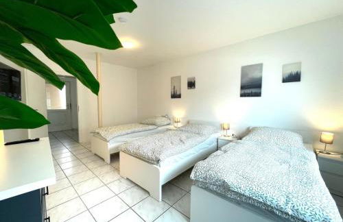 Wohnung 4 Eppertshausen - Foto 11