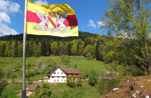 Paradies Im Schwarzwald - Foto 18