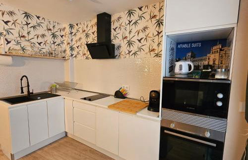 AdriVA Apartamento-Loft Imperial centro WIFI - Foto 12