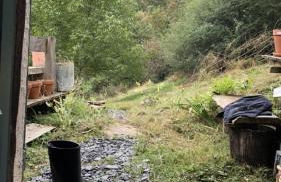 Une nuit en CABANE dans la Forêt - Photo 9
