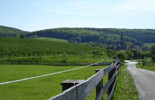 "Fahner Mühle" - Foto 51