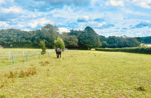 Motts Lodge - Photo 38