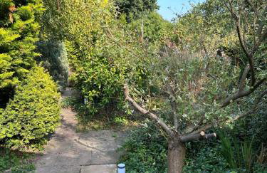 Apple-tree lodge - Foto 31