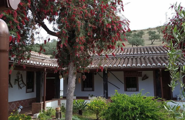 Cortijo Veracruz - Photo 72