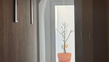 Habita Estremoz - Foto 5