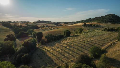 Agriturismo San Carlo - Foto 3