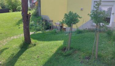 Gelbes Haus Heldritt - Foto 4, Garden