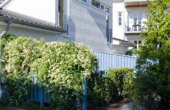 6 Dünenhus - Foto 13