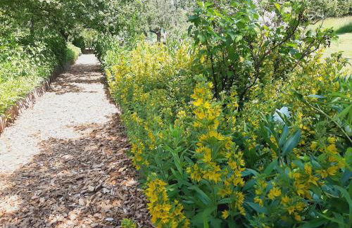 Die Malche Gäste und Tagungshaus Villa App 13 - Foto 23